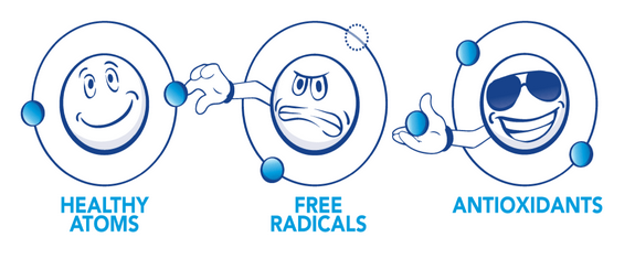 Vietnam Detox - Lợi ích của bông cải xanh